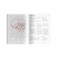 Amazing Skin - Calmlish