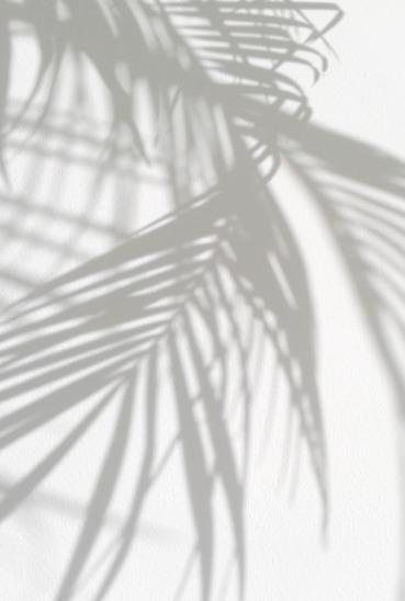 Gua Sha | Calmlish